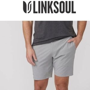Linksoul Light gray perforated design, flat front shorts. Sz 36 Good Condition